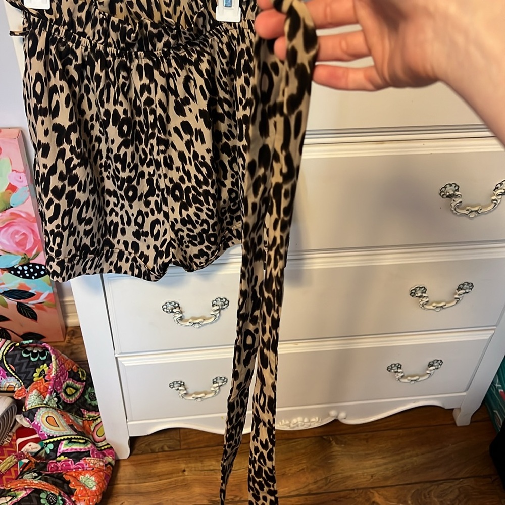 Shorts! - Picture 5 of 7